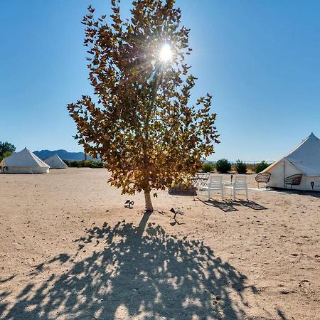 Hotel The Castle House Estate Joshua Tree Zewnętrze zdjęcie